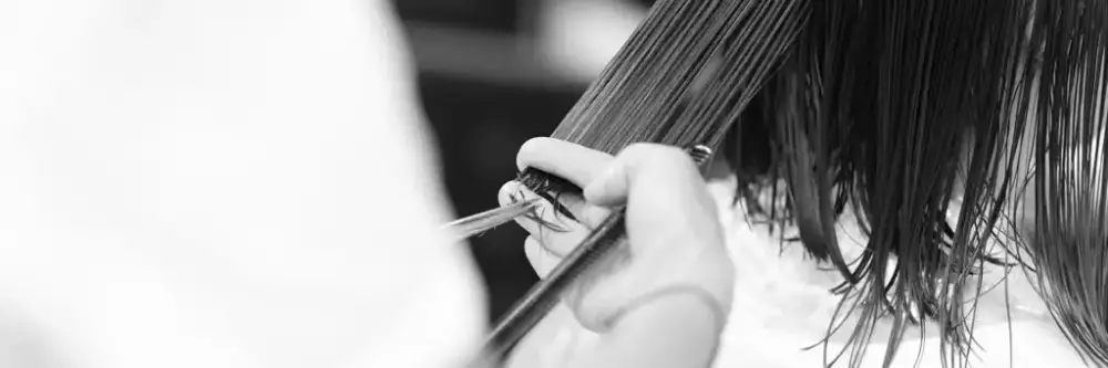 banner-1024x341